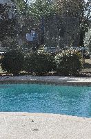 Click on image for all pictures